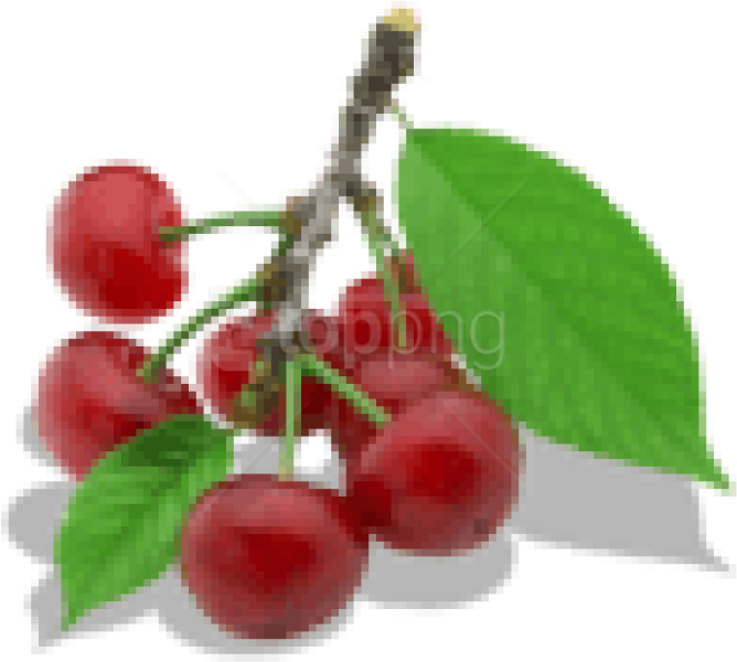Download Twig Of Cherry Clipart Png Photo - Cherry (850x755), Png Download