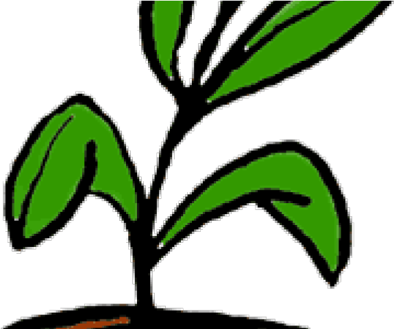 Pot Plant Clipart Office Plant - Plant Clip Art (640x480), Png Download
