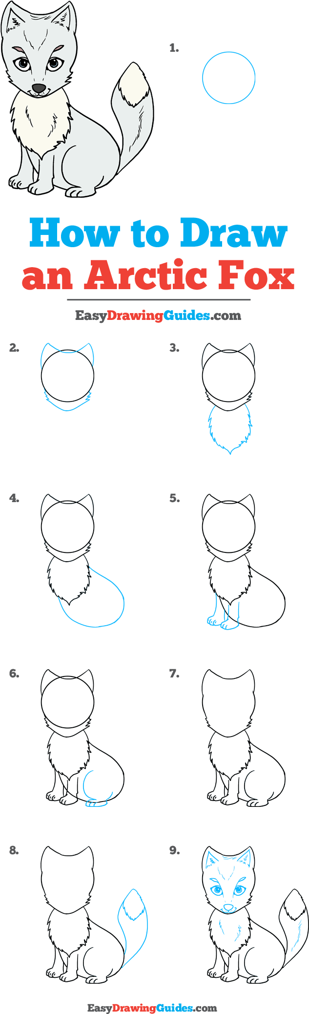 How To Draw Arctic Fox - Draw A Arctic Fox (736x2137), Png Download
