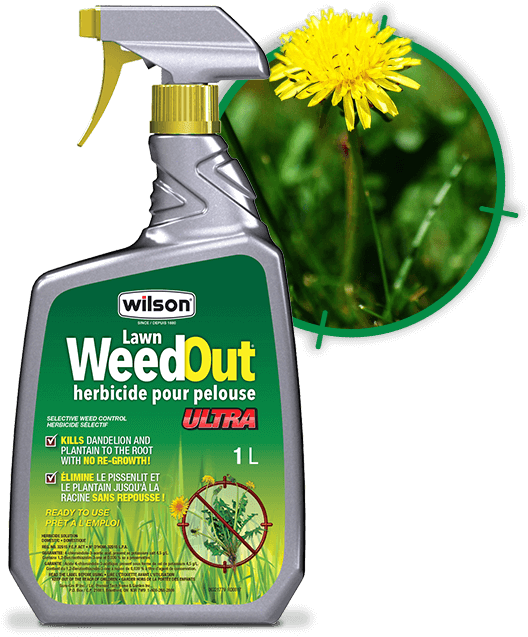 No More Hand Weeding (658x728), Png Download