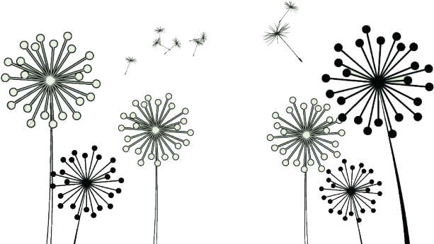 Dandelion Clipart Dandylion - Dandelion (640x480), Png Download