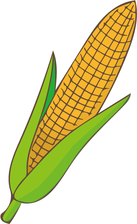Corn Clipart Jagung - Jagung Ilustrasi (842x842), Png Download