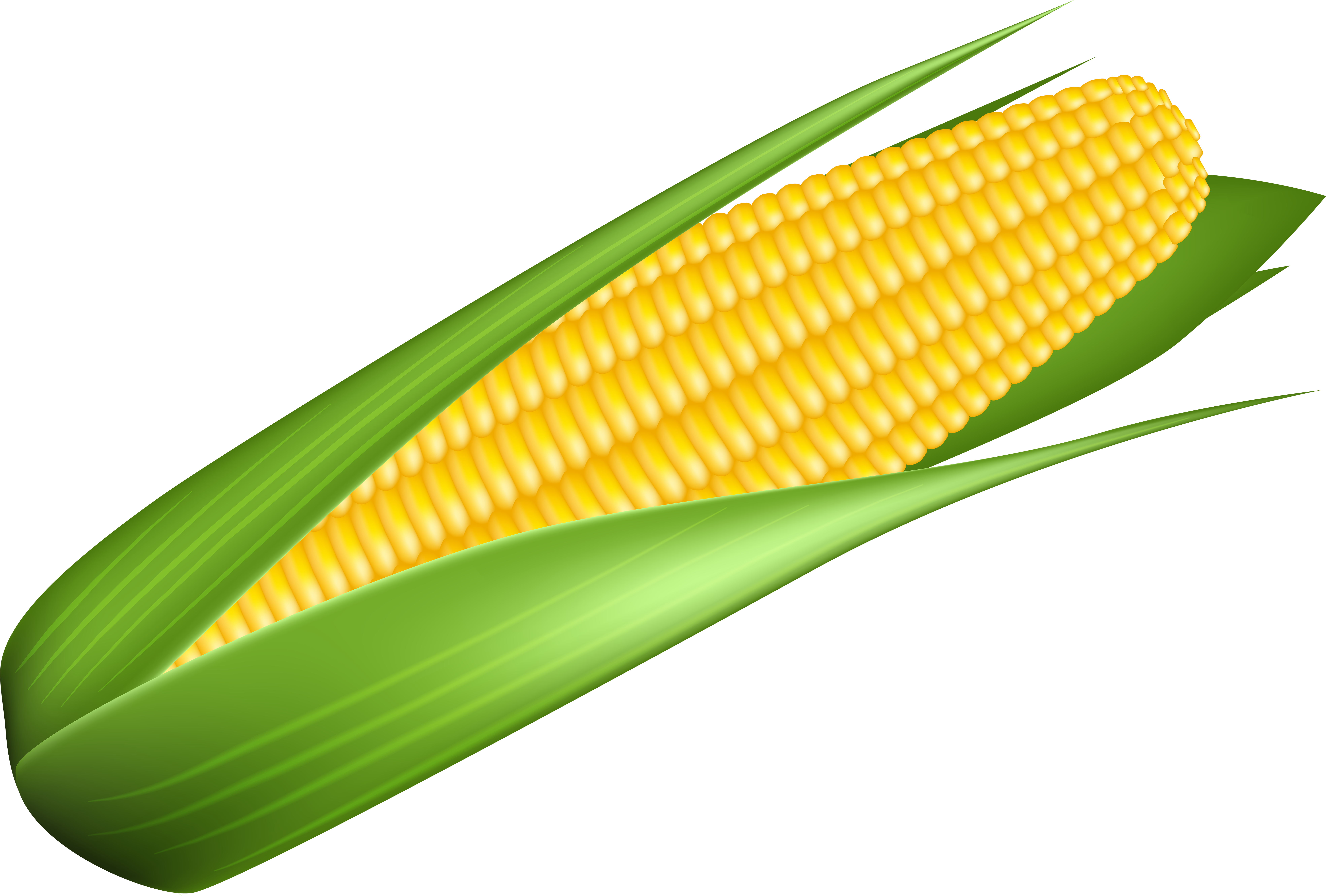View Full Size - Corn Kernels (8000x5447), Png Download