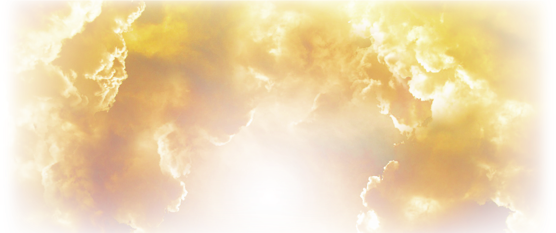 Morning Light Web14 - Macro Photography (1916x768), Png Download