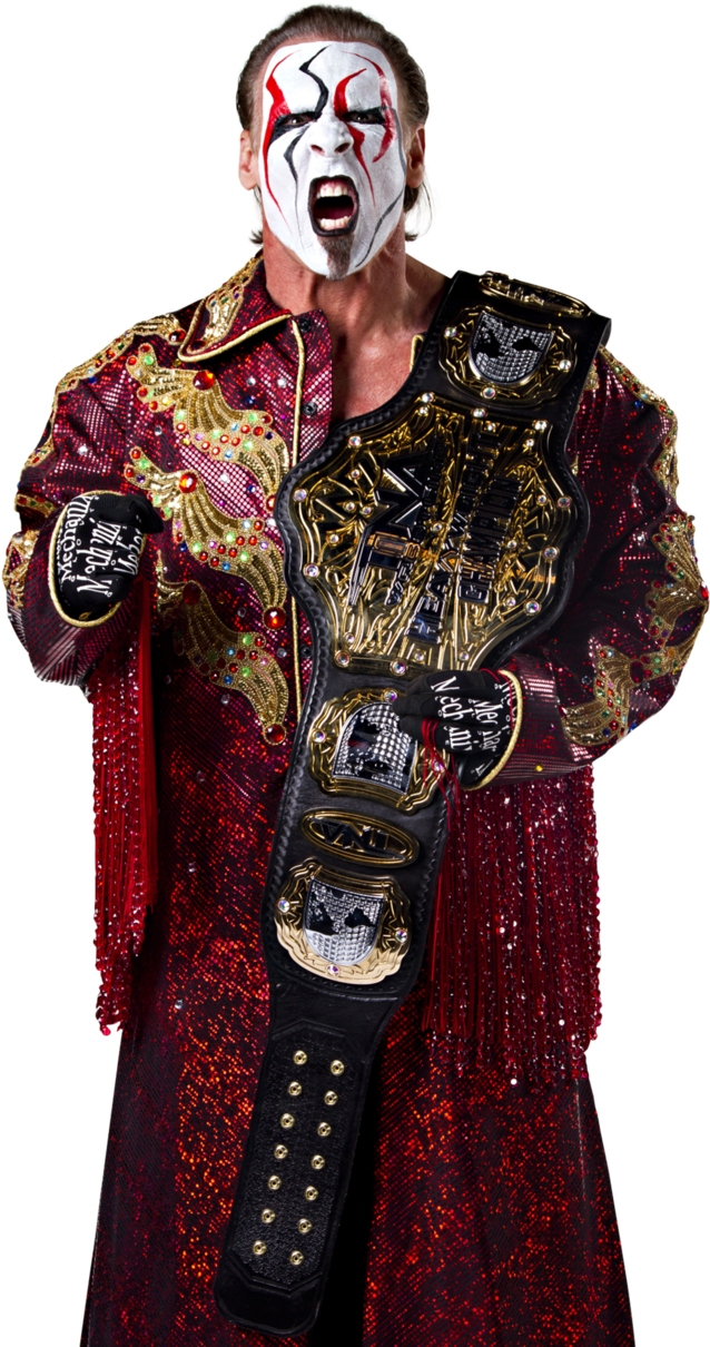 Tna World Heavyweight Champion Sting - Sting Tna World Heavyweight Champion (657x1216), Png Download