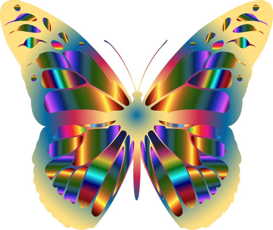 Jpg Royalty Free Library Monarch Butterfly Brush Footed - Beautiful Butterfly Clip Art (888x750), Png Download