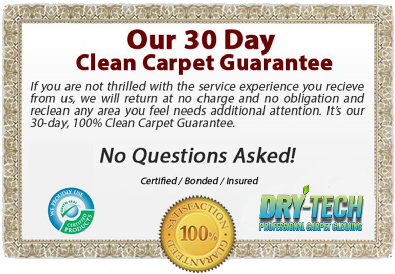Download Dry Tech Carpet Cleaning Prince Albert Saskatchewan Green