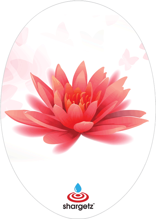 Water Lily (900x895), Png Download
