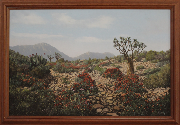 Sale - Picture Frame (800x800), Png Download