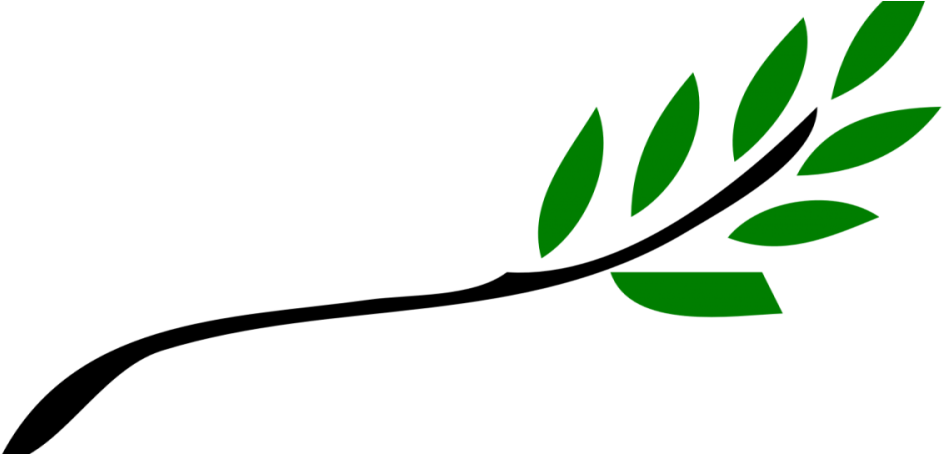 Out On A Limb Woodworking Products From - Olive Tree Branch Clipart (1000x453), Png Download