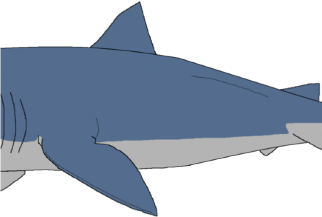 Great White Shark Clipart Sharks And Minnow - Shark Clipart (640x480), Png Download