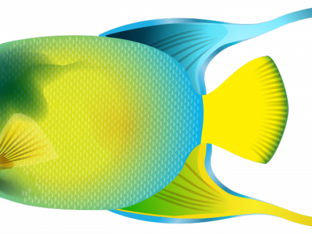 Whale Shark Clipart Transparent - Coral Reef Fish (640x480), Png Download