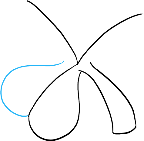 How To Draw Shamrock (680x678), Png Download