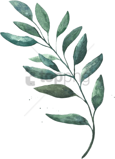 Free Png Download Leaf Watercolor Png Images Background - Transparent Leaves Png Watercolor (480x663), Png Download