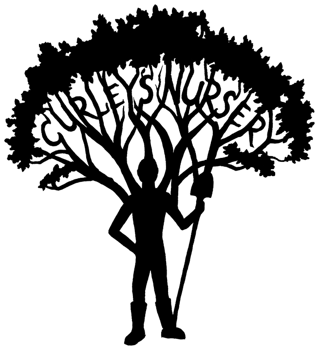 Nursery - Silhouette - Free Transparent PNG Download - PNGkey