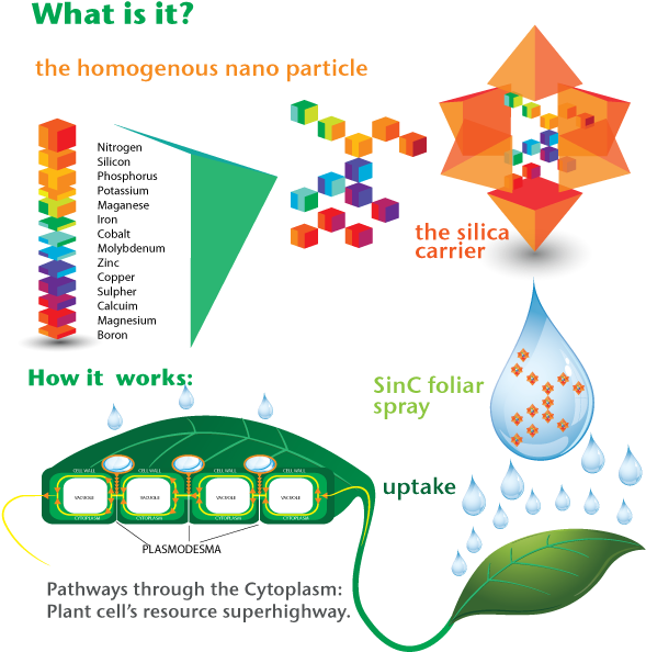 What Is It And How Does It Work - Diagram (612x615), Png Download