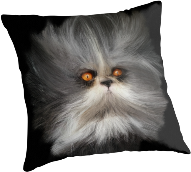 Cushion (875x875), Png Download
