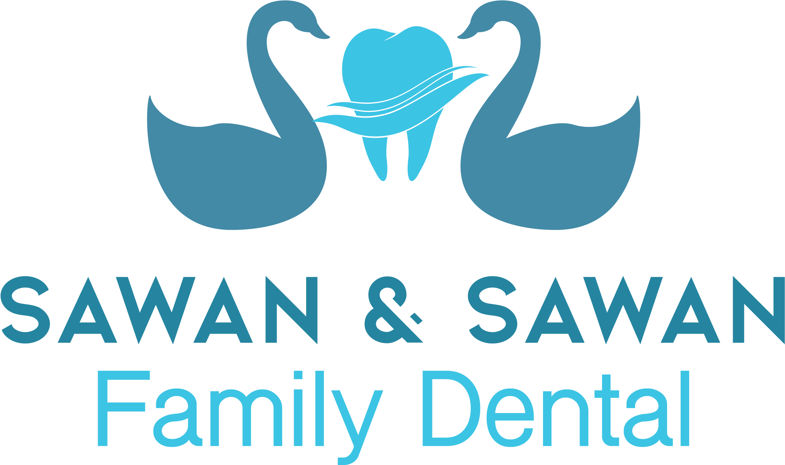 Dentalpress Theme - Duck (2569x1599), Png Download