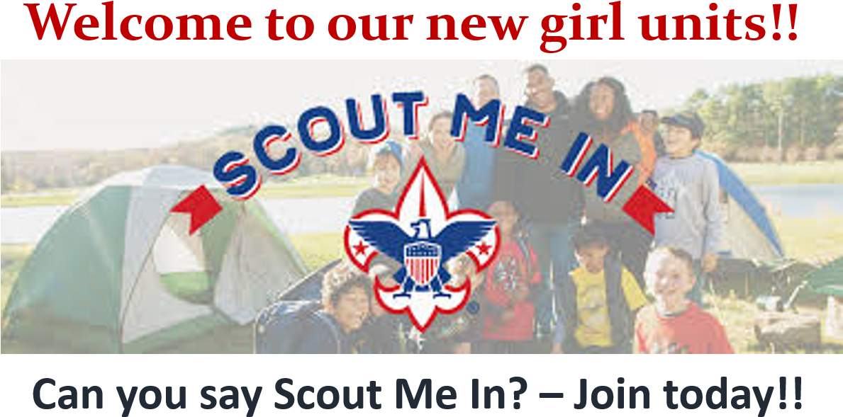 The Boy Scouts Of America Made History Today By Unveiling - Boy Scouts Of America (1203x672), Png Download