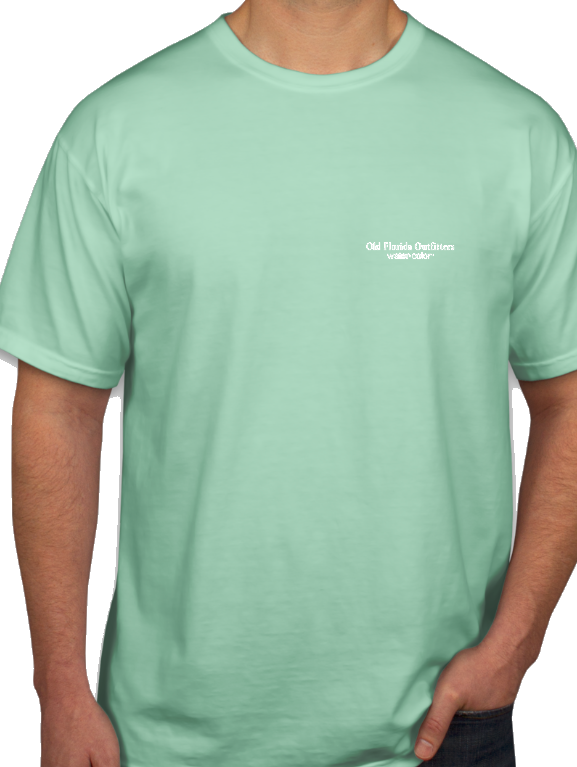 Ofo Short Sleeve Pocket 30a Logo T-shirt In Mint/white - Active Shirt (577x767), Png Download