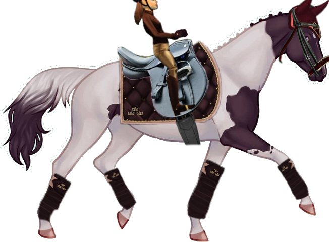 Stallion (652x480), Png Download