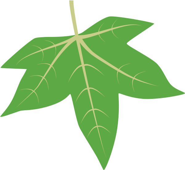 Sweetgum - Sweetgum Leaf Clipart (600x600), Png Download