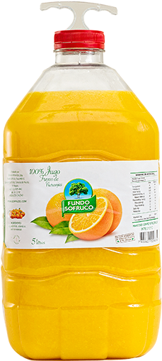 Jugo De Naranja Jugo De Naranja - Orange Juice (400x533), Png Download