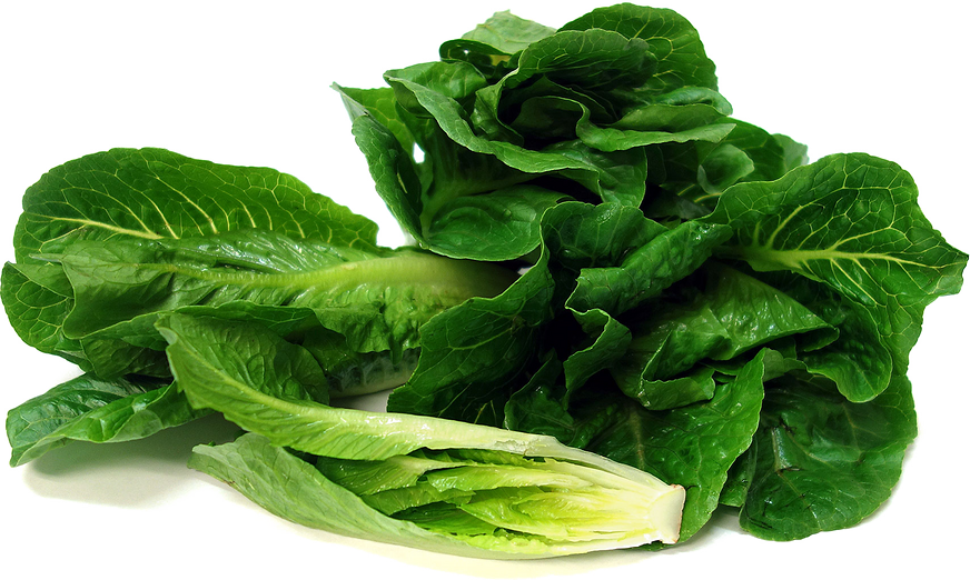 Romaine Lettuce Transparent Image - Romaine Lettuce Png (872x522), Png Download