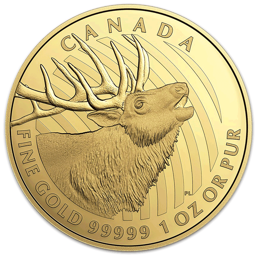 2017 "bugling Elk" Canadian Gold Coin (900x900), Png Download