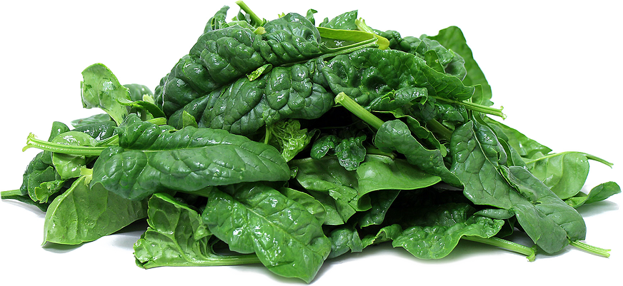 Download Food For Thick Beard Png Image With No Background