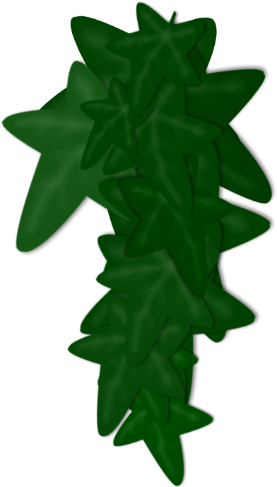 Ivy Clipart Png Freeuse Download - Poison Ivy Plant Clipart Transparent (501x775), Png Download