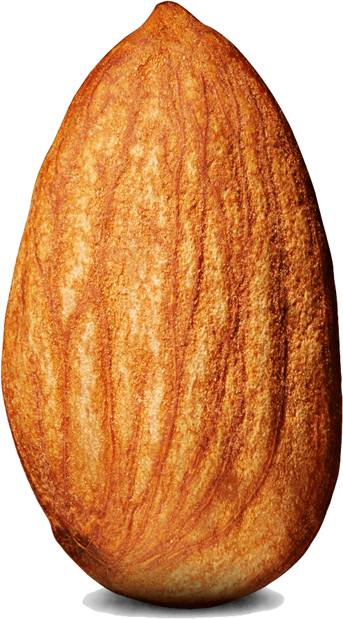Almond Single - Almond Fire Emblem (1000x1266), Png Download