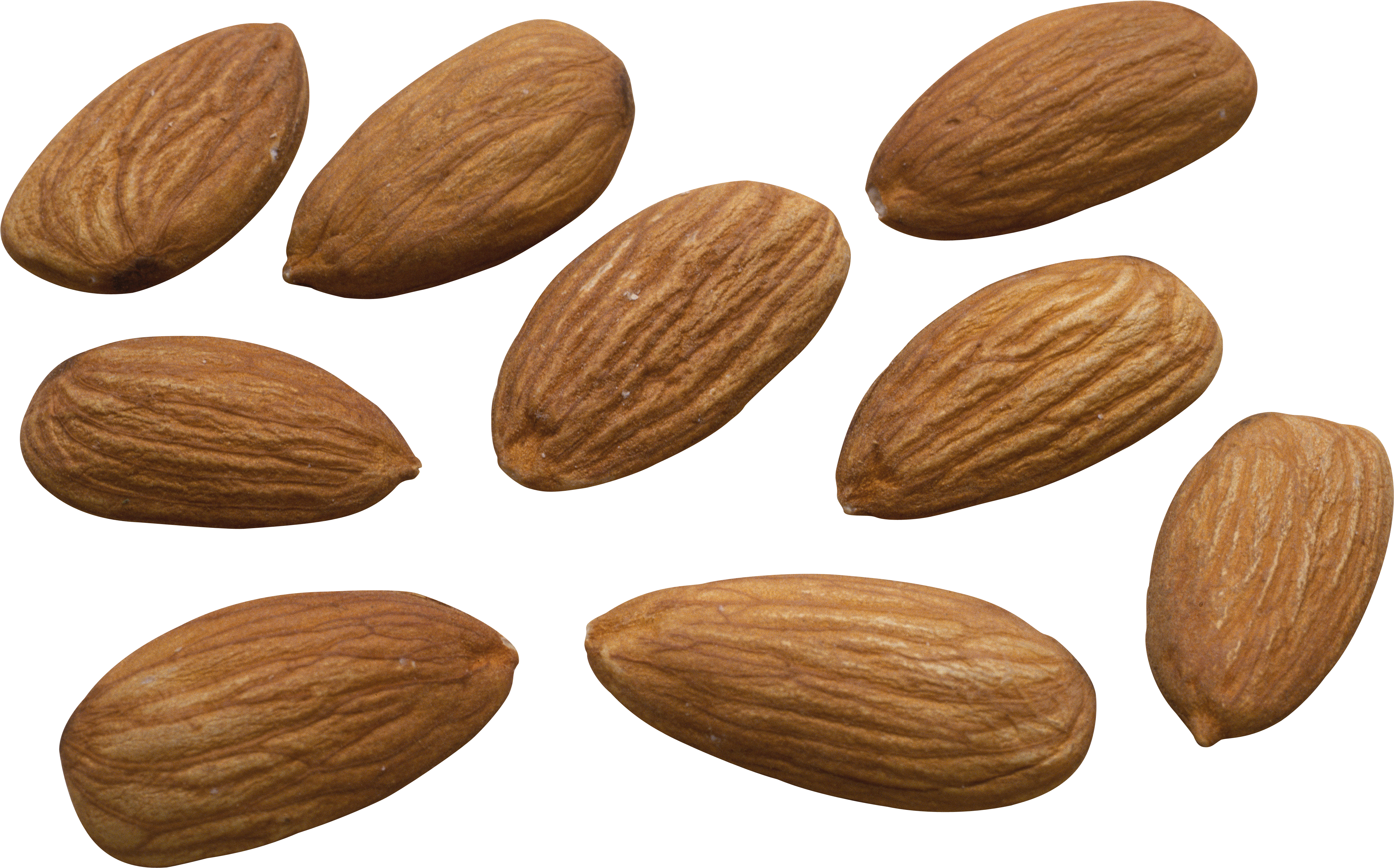 Blanched Almonds (4961x3099), Png Download