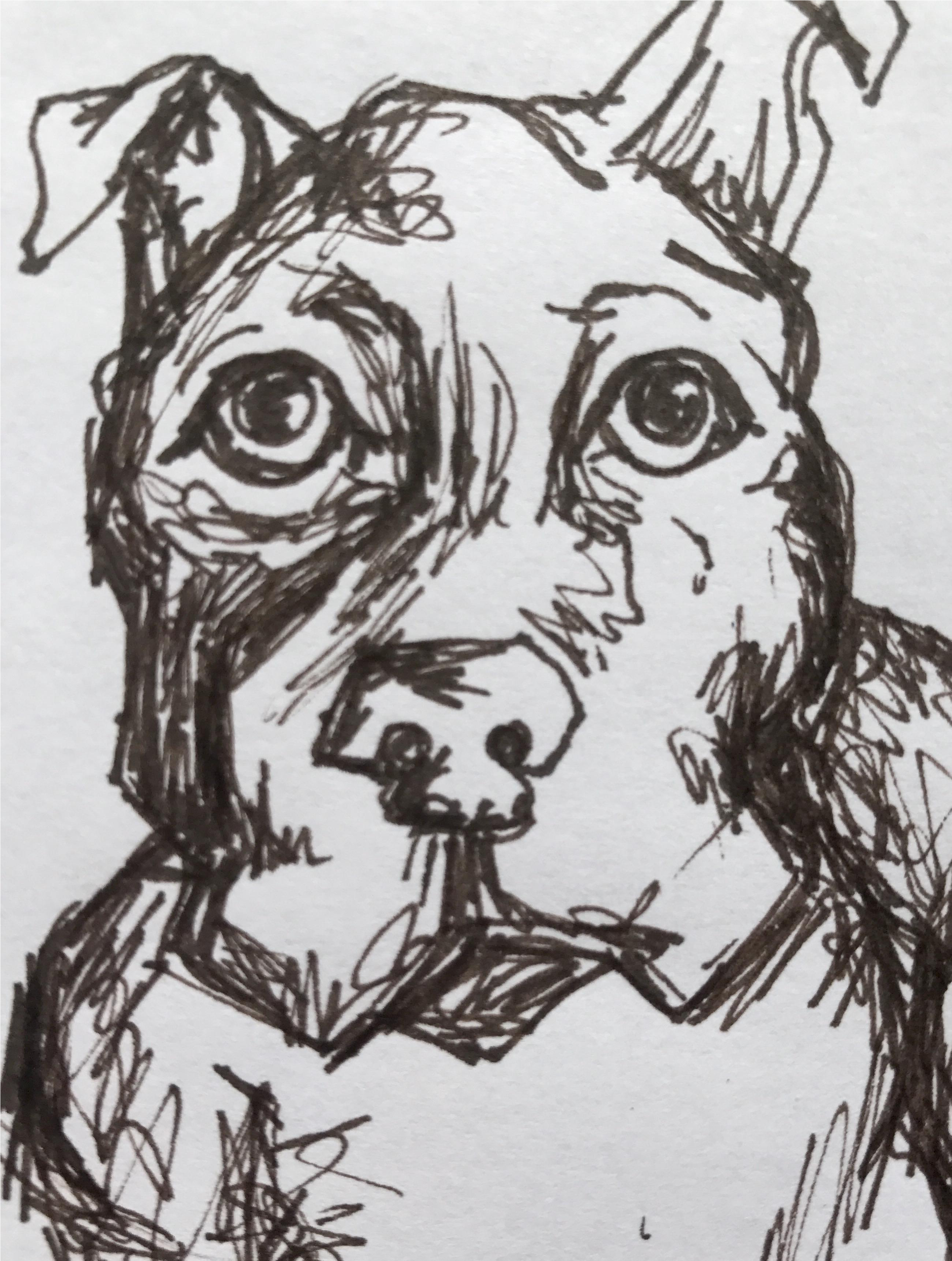 Christy Almond "spike" Pen & Ink Drawing - Library (2893x3833), Png Download