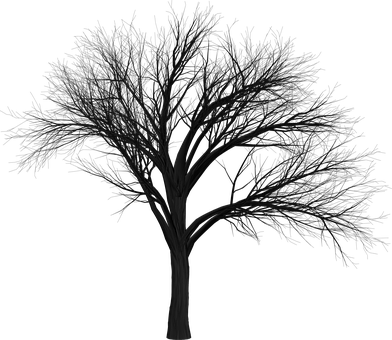 Tree Branch Empty Isolated Black Spooky Ha - Black Tree Hd Png (392x340), Png Download