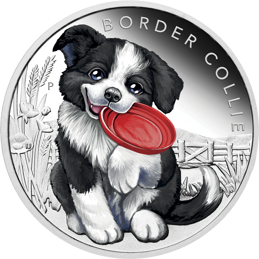 Silver Coin "puppies - 邊境 牧羊 犬 商品 (400x400), Png Download