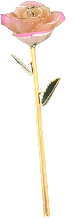 Daya Love Forever Long Stem 24k Gold Foil Trim Red - Artificial Flower (800x800), Png Download