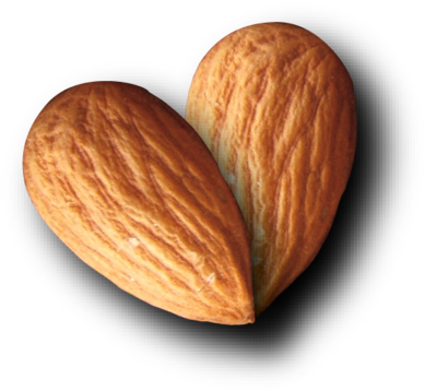 Almond Png - Almond Logo Png (514x514), Png Download