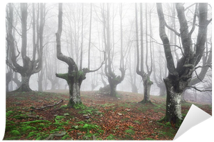 Paisajes De Bosques Tenebrosos (400x400), Png Download