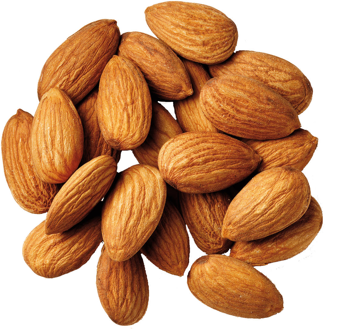 Almonds - لوز حب (1264x1144), Png Download