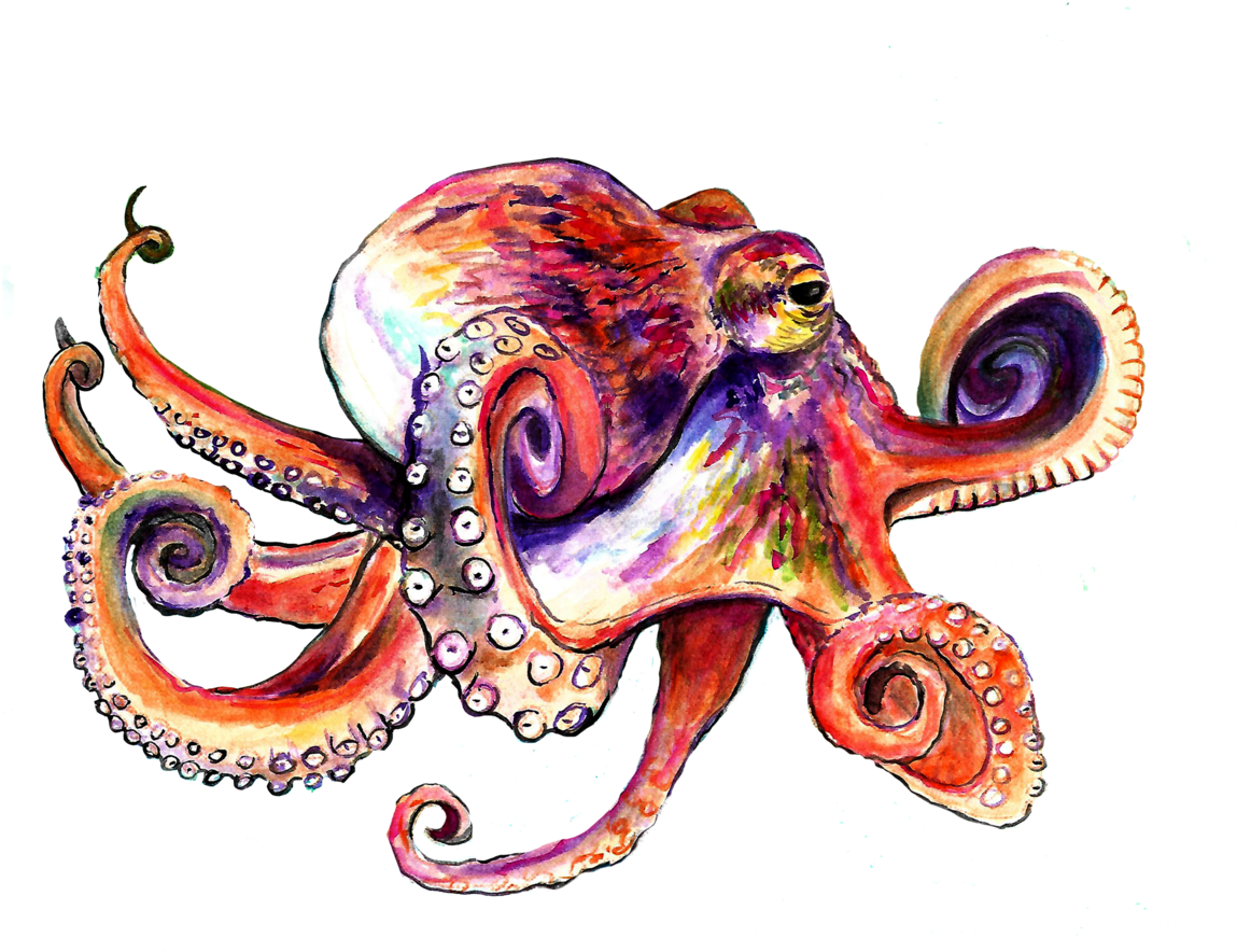 Octopus (1200x927), Png Download