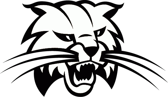 Cambridge Bobcats - Bowling Green Bobcats (591x341), Png Download