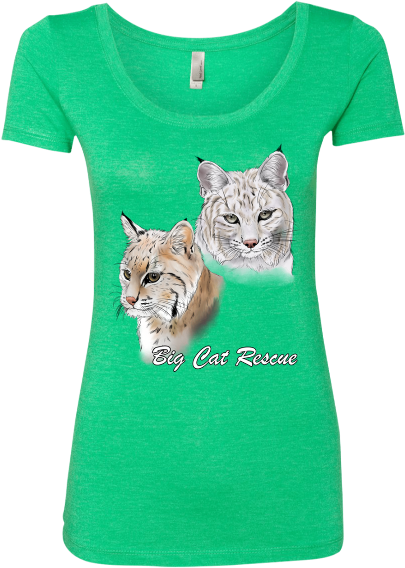 Bcr The Biscuit Bobcats Nl6730 Next Level Ladies' Triblend - Merica Fuck Yea Ladies Scoop (1155x1155), Png Download
