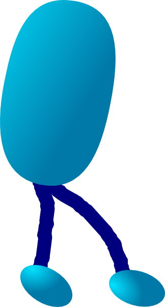 Legs (324x600), Png Download
