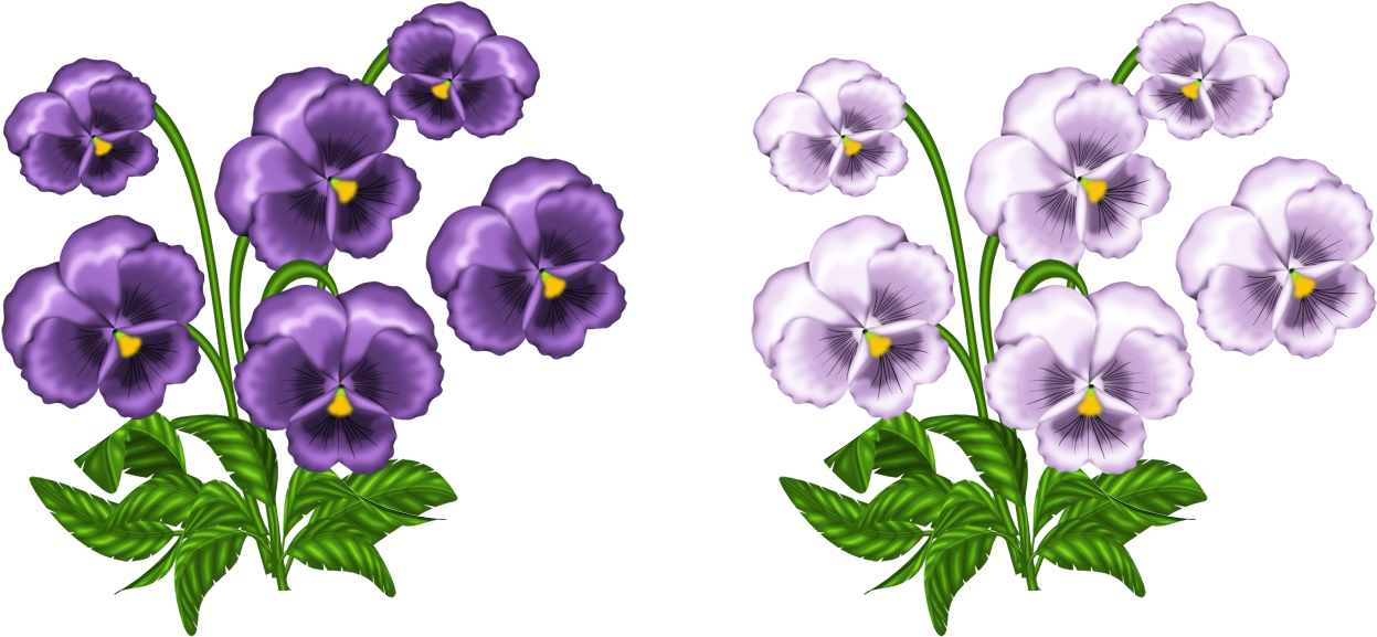 Watercolor Flower Clipart - Clip Art Violets (1363x688), Png Download