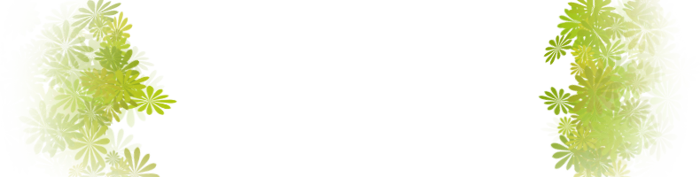 Greenflowers - Web Browser (790x200), Png Download