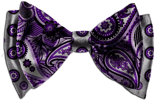 Be The First To Review “design Your Own Custom Bow - Paisley (500x333), Png Download