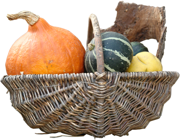Pumpkin Png By Gd08 - Pumpkin (600x469), Png Download