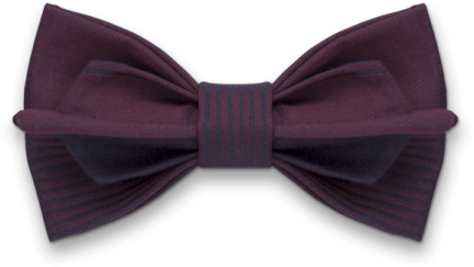Wishing In Stripes Dark Purple Bow Tie - Bow Tie (595x595), Png Download