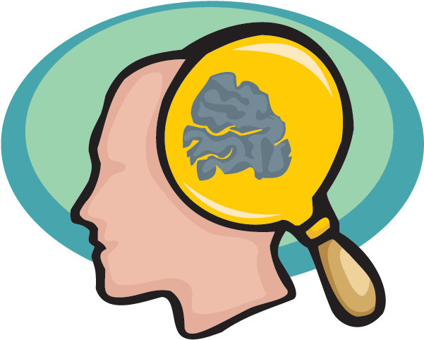 The Facts Science Trek Idaho Public Television - Brain Facts Clip Art (640x481), Png Download